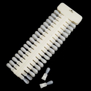 Į����Ʈ �и��� 72p �����Ϲ�Į���� <br>���������Ͼ�Ʈ��� Į����