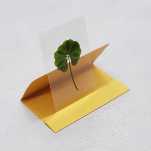 [] ȭ Ŭι ī (ݻ)