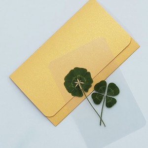 [] ȭ &Ŭι ī (ݻ)