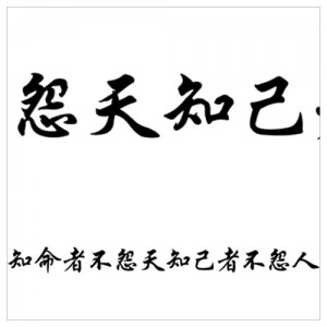 Ÿ���ڽ� ���ٽ� SDR013(��)